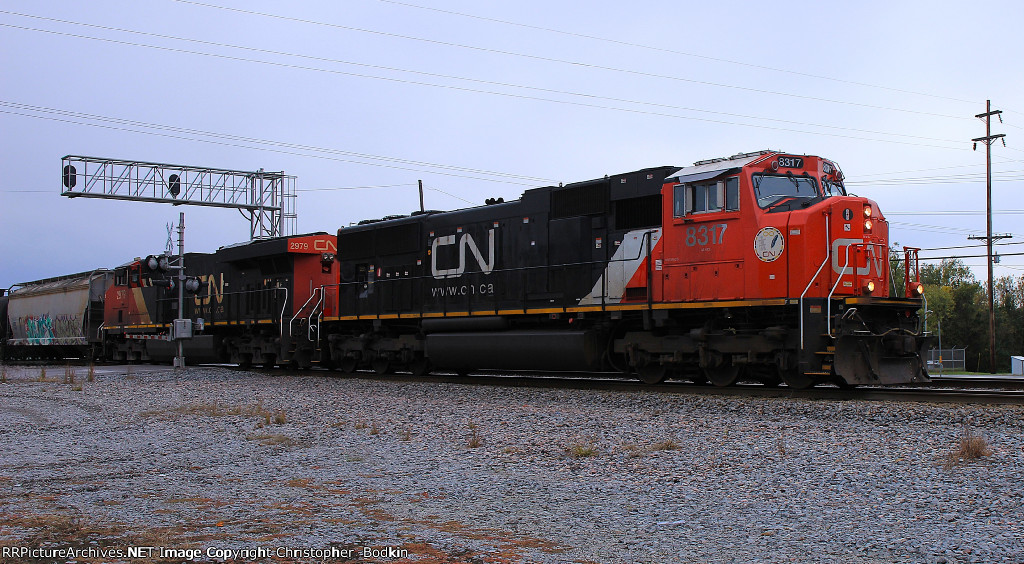 CN 8317